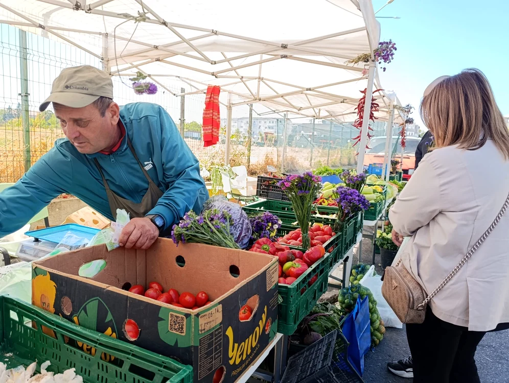 Vânzările nu sunt pe măsura așteptărilor, se plâng producătorii