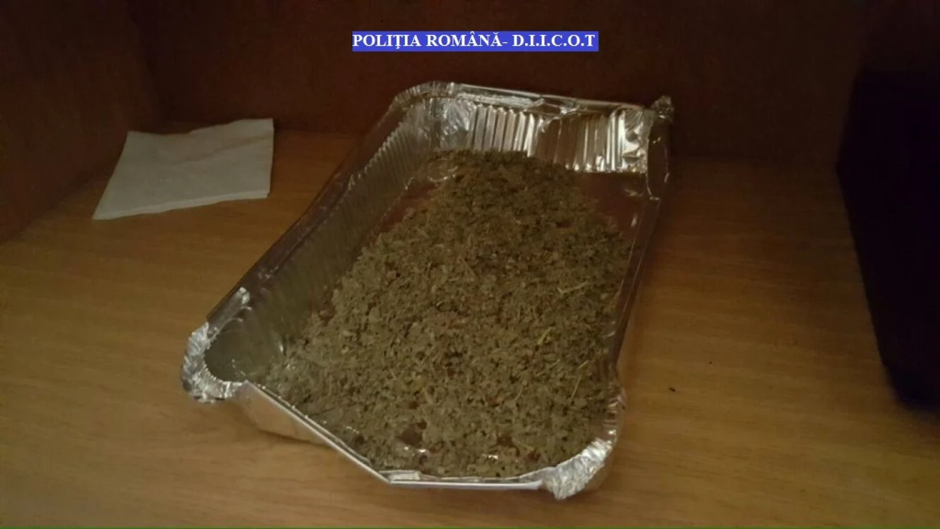 Drogurile erau procurate de la dealeri din Galaţi Foto: Adevărul