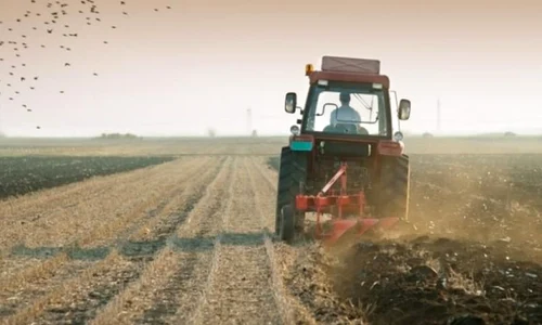 Comoară arheologică descoperită pe un ogor dintr un sat din Vrancea jpeg