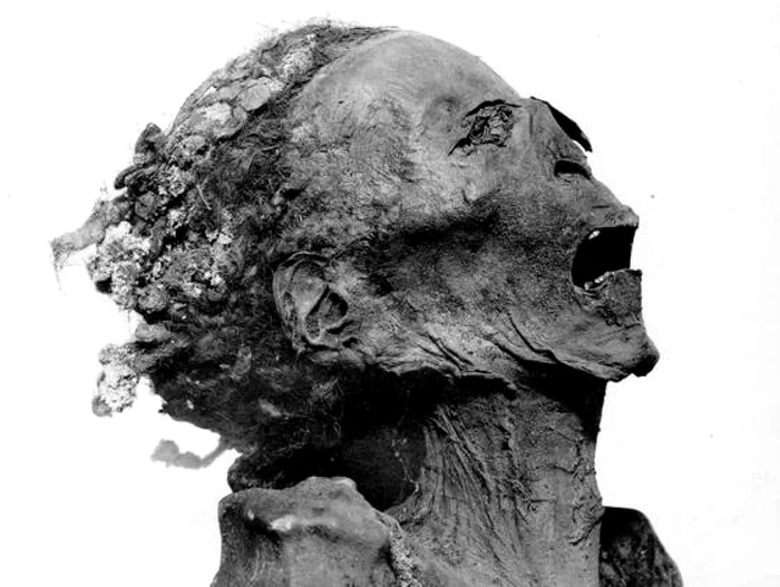 fiu ramses al III-lea foto Muzeul din Cairo