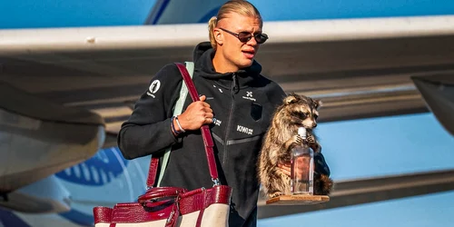 Haaland raton jpg