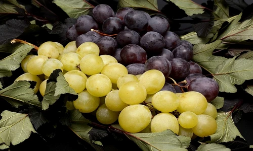 1 77398 original jpg jpeg