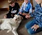 Câini adoptaţi