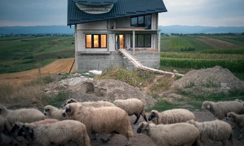 "Mîndrie şi Beton" jpeg