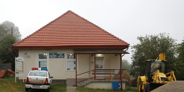 alegeri locale
