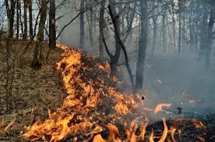 Mai multe incendii de vegetaţie uscată dau bătăi de cap pompierilor