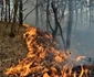 Mai multe incendii de vegetaţie uscată dau bătăi de cap pompierilor