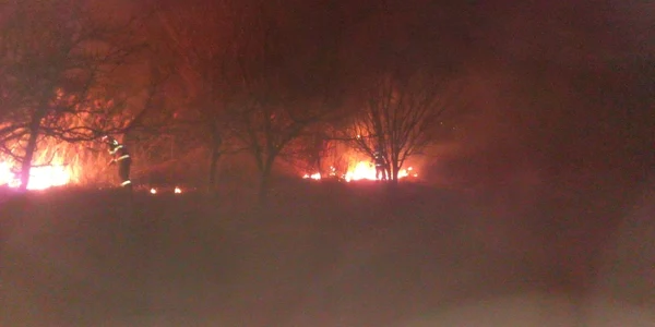 incendiu vegetatie uscata salaj