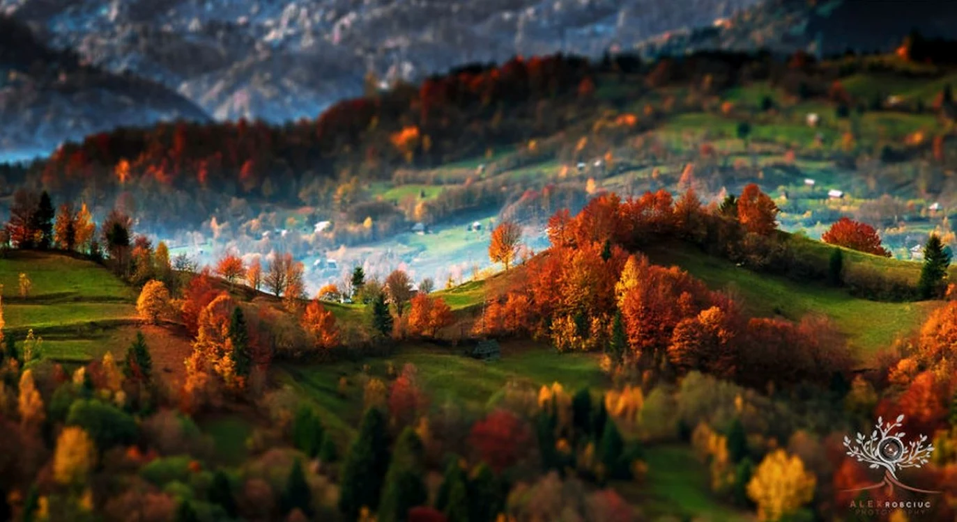 Transilvania frumoasă  FOTO: Alex Robciug
