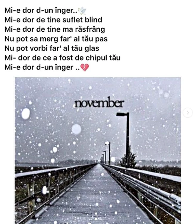 Anamaria Prodan a publicat acest mesaj pe rețelele de socializare la scurt timp de la incident