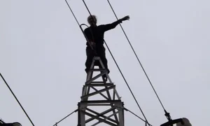 barbat stalp iasi jpeg