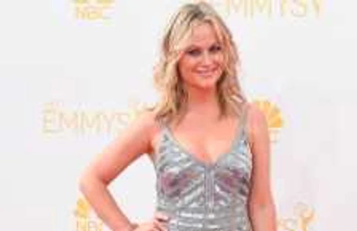 Amy Poehler a fost premiată nu numai pentru că s-a remarcat la Hollywood, ci şi pe scena de teatru FOTO Getty Images