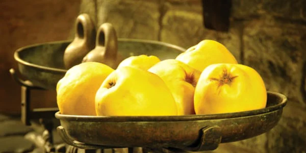 Fructe