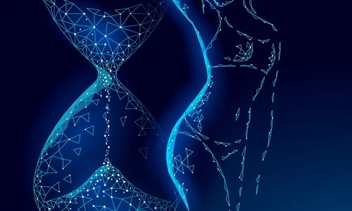 shutterstock 1562166910 ok jpg