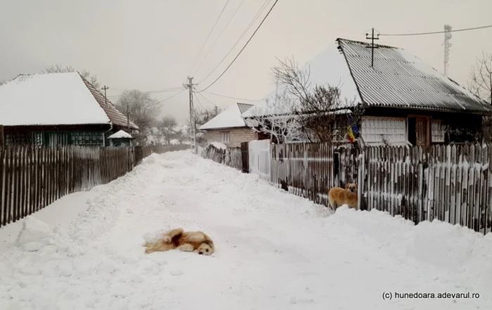 Bătrâna, comuna în care mai trăiesc circa 100 de oameni Foto: Daniel Guţă