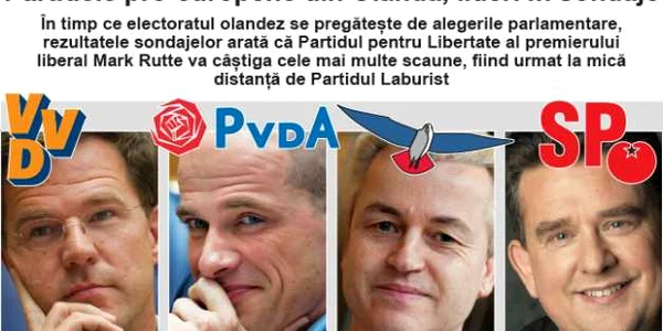 Partidele pro-europene din Olanda