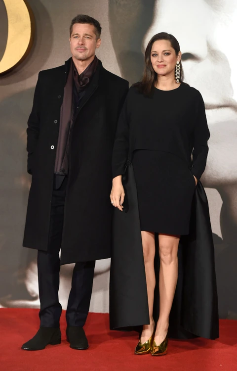 marion cotiilard si brad pitt hepta 2660687 jpeg