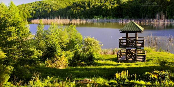 cuiejdelfoisor