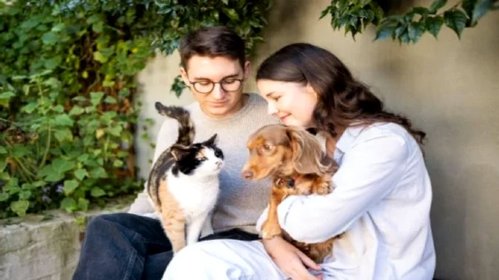 Cum este personalitatea celor care preferă câinii mai mult decât pisicile.