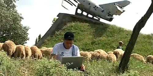 stana oi