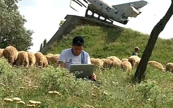 Paşte oile cu toiagul şi laptopul în câmt FOTO: captură video protv.md
