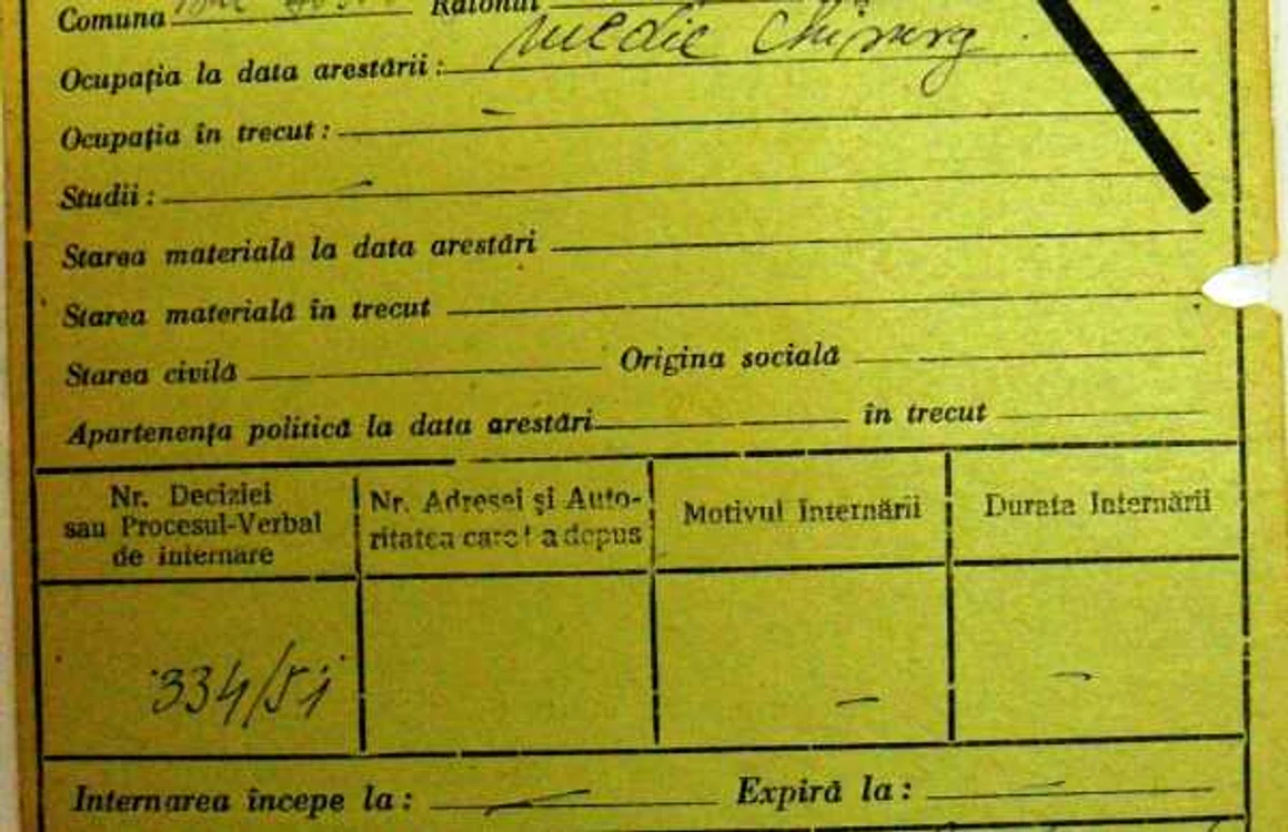 fişă matricolă penala victor gomoiu iiccmer