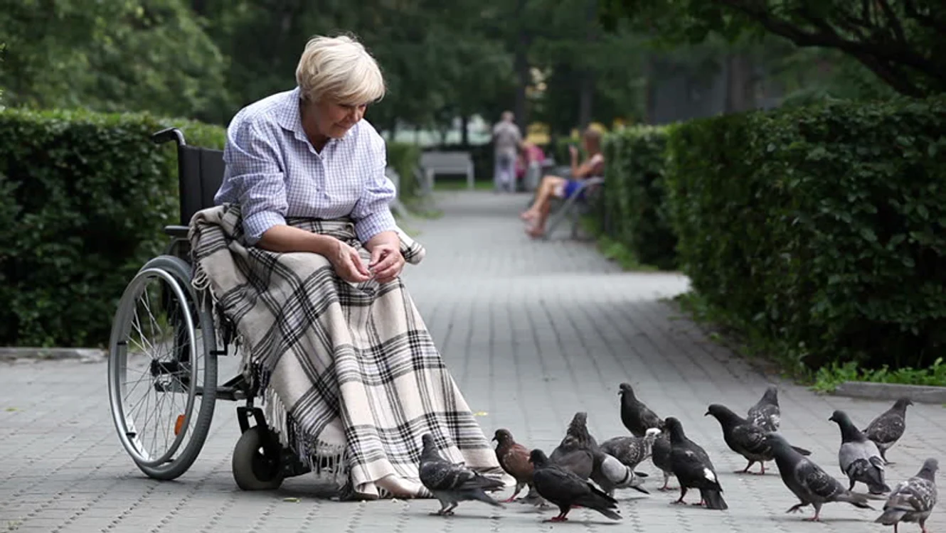 
    Vești foarte bune pentru invalizi, veterani şi văduve de război: indemnizațiile vor crește de cinci oriFOTO: adevarul.ro  