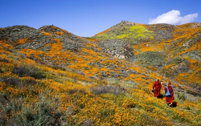 Maci in Walker Canyon FOTO EPA