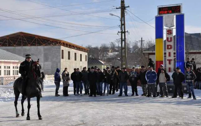 El este „Ginel” armăsarul care a câştigat întrecerea cailor organizată la Sudiţi de Bobotează FOTO: M. S.
