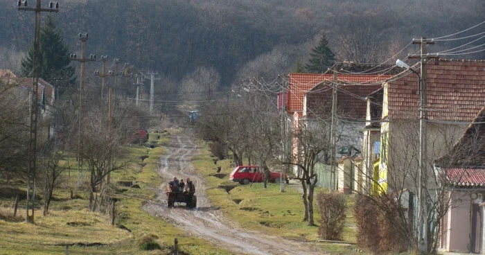 Localnicii din Dealu Frummos înfrunta zilnic saracia - Foto Ramona Găină