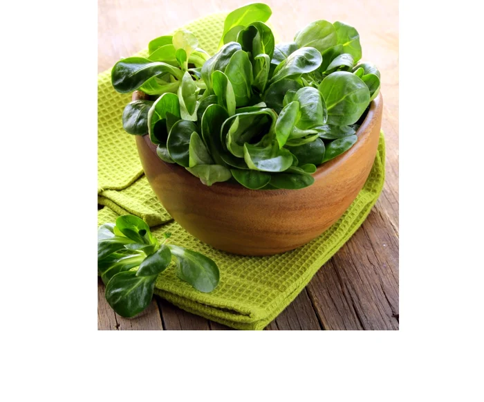 salata de valeriană jpeg