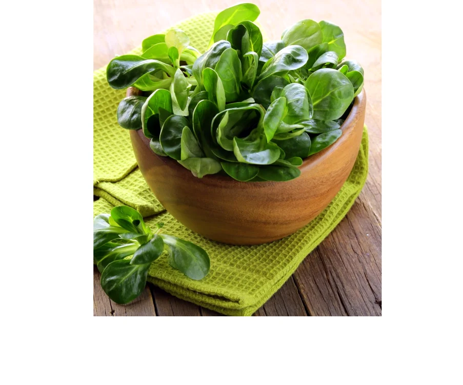 salata de valeriană jpeg