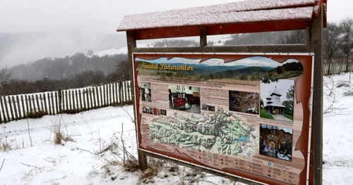 bunila tinutul padurenilor iarna foto daniel guta adevarul