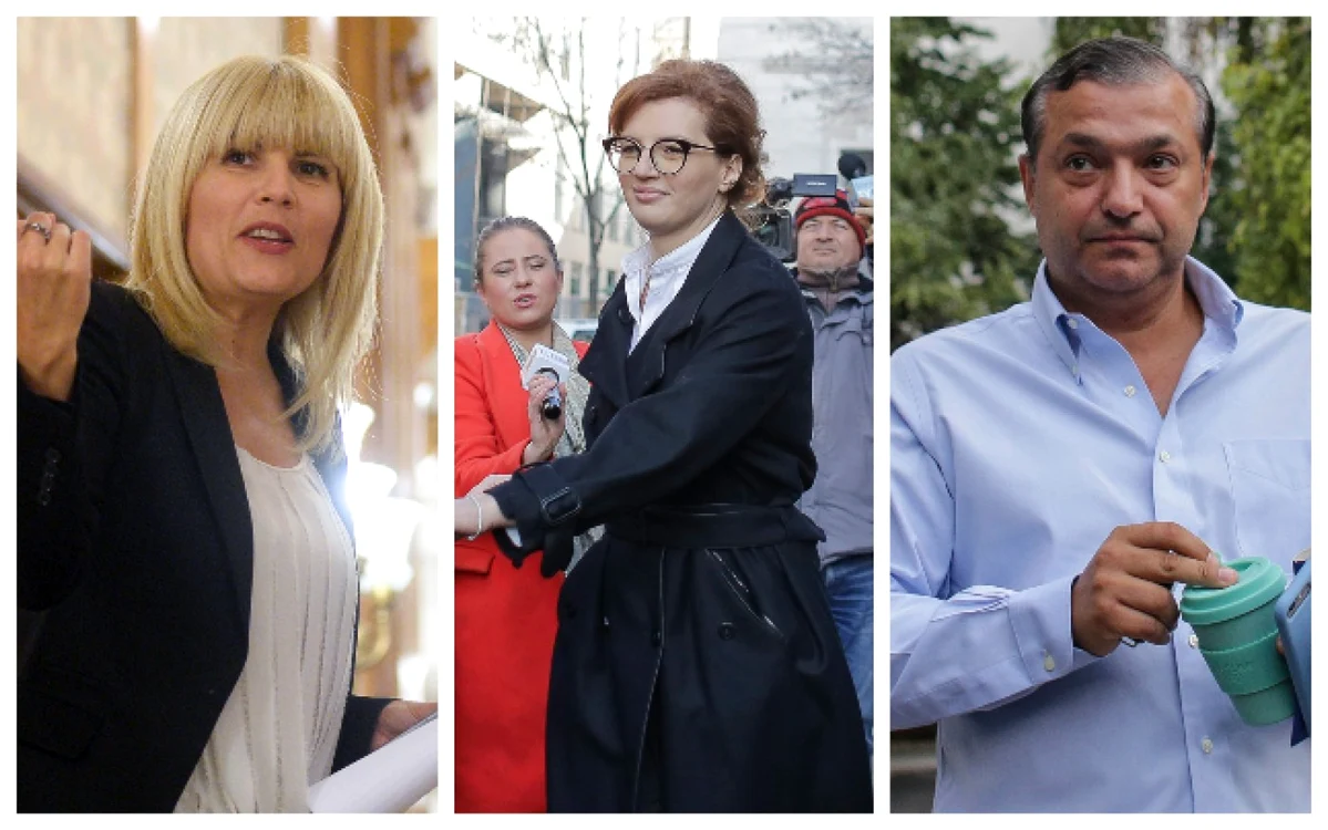 Elena Udrea, Ioana Băsescu şi Dan Andronic / FOTO Inquam Photos şi Mediafax (colaj adevarul.ro)