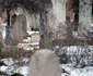 Cimitirul Evreiesc din Timișoara