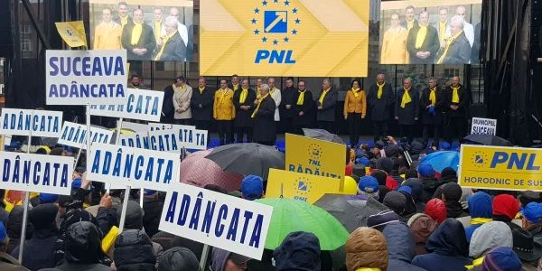miting pnl