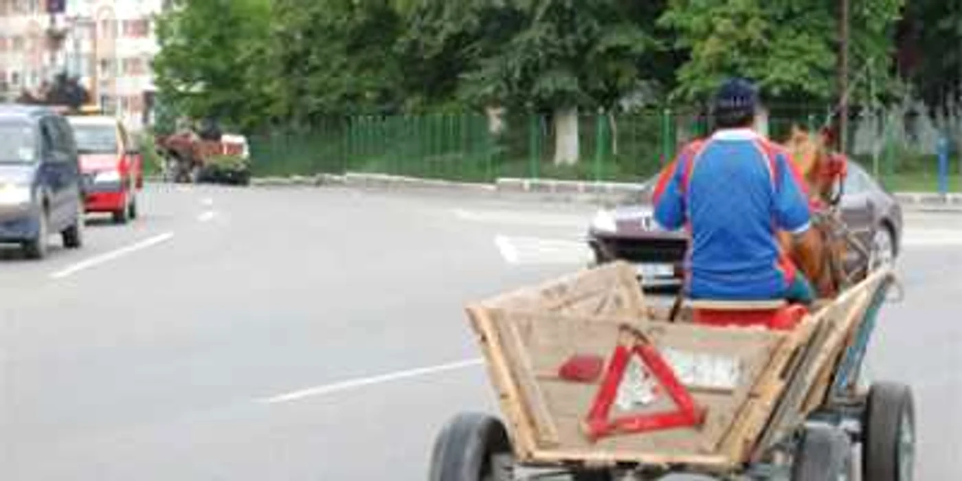 Căruţaşii, un pericol public pe şoselele oltene