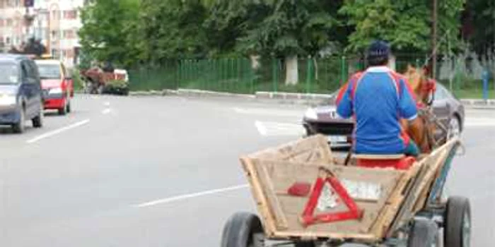 Căruţaşii, un pericol public pe şoselele oltene