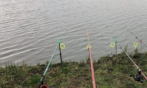 pescuit peste undita foto Radio Constanta e1587874154520 820x300 jpg