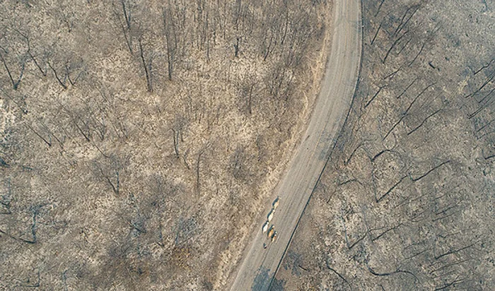 
    Mii de oameni au fost evacuaţi din calea zidului de focFoto: EPA-EFE  