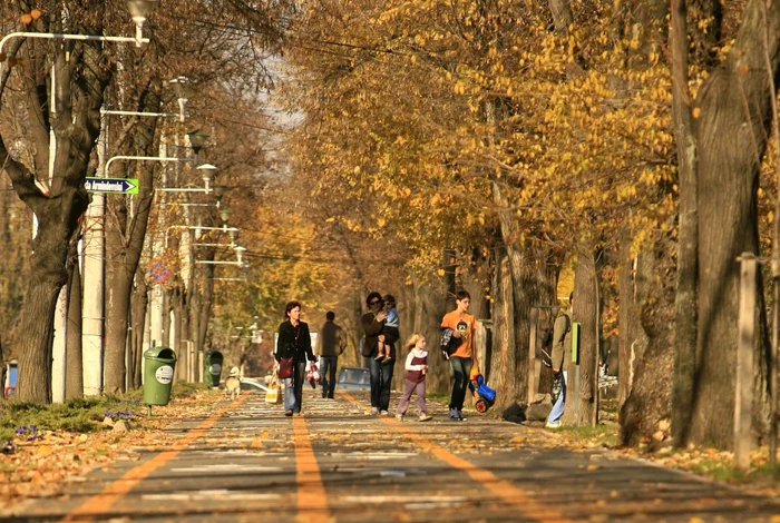 Curând, toamna va schimba peisajul verde în culori calde. FOTO Adevărul