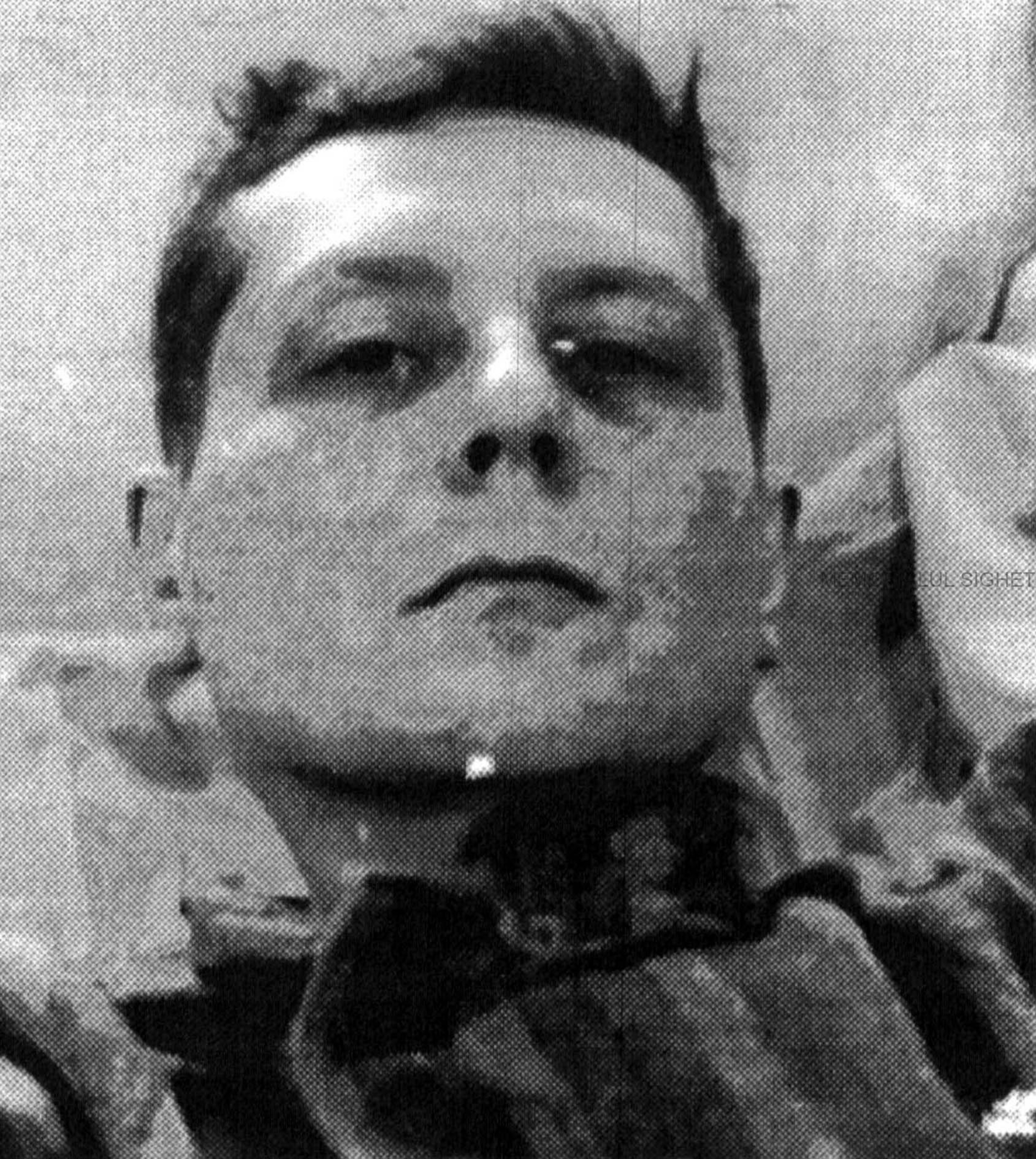 Victor Rădulescu Pogoneanu la Văcărești FOTO memorialsighet.ro