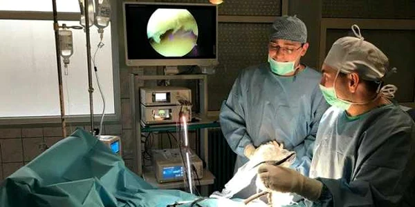 spital alba ortopedie