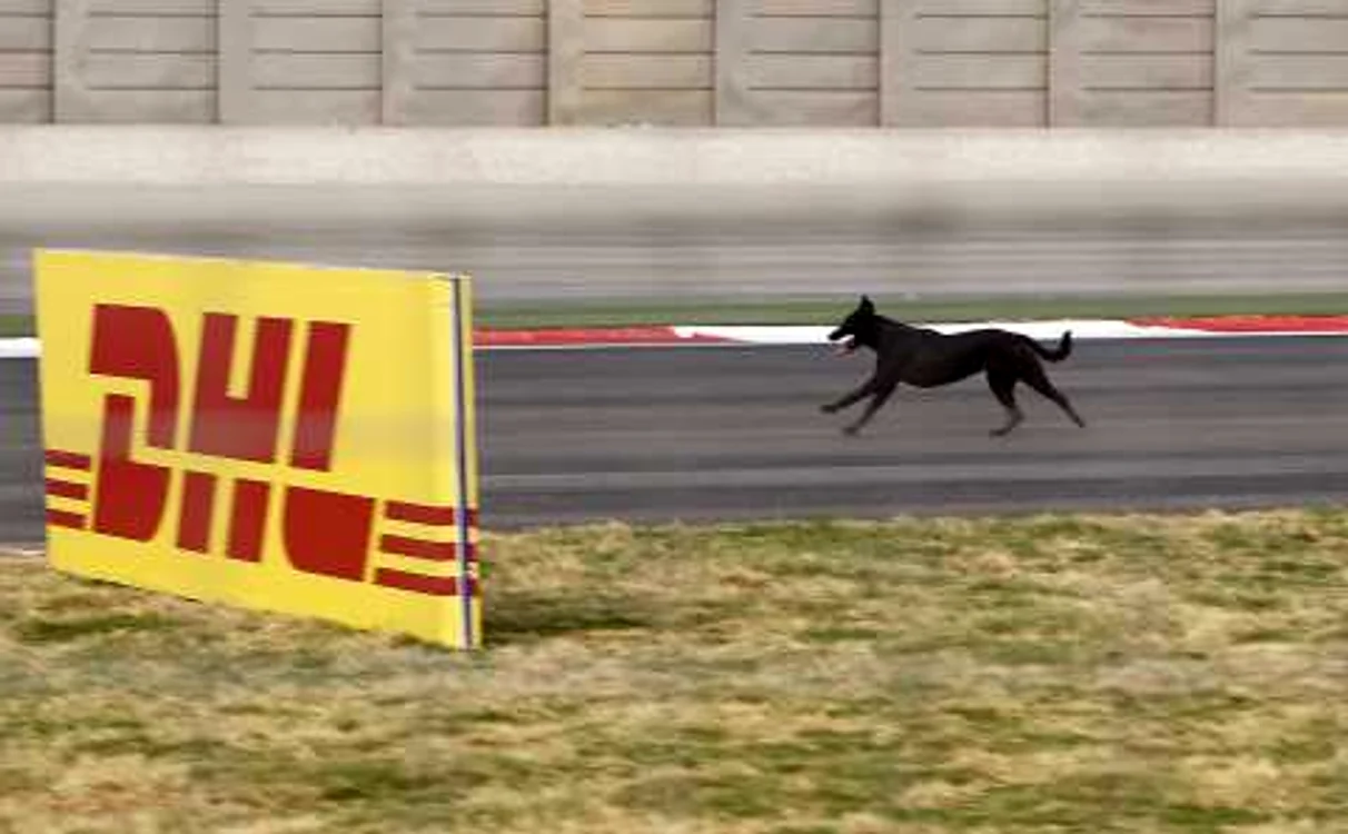 Câinii aleargă în voie pe circuitul indian de Formula 1 * Foto: Reuters