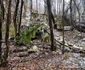 Valea Tatausului Foto Daniel Guță ADEVĂRUL (45) jpg