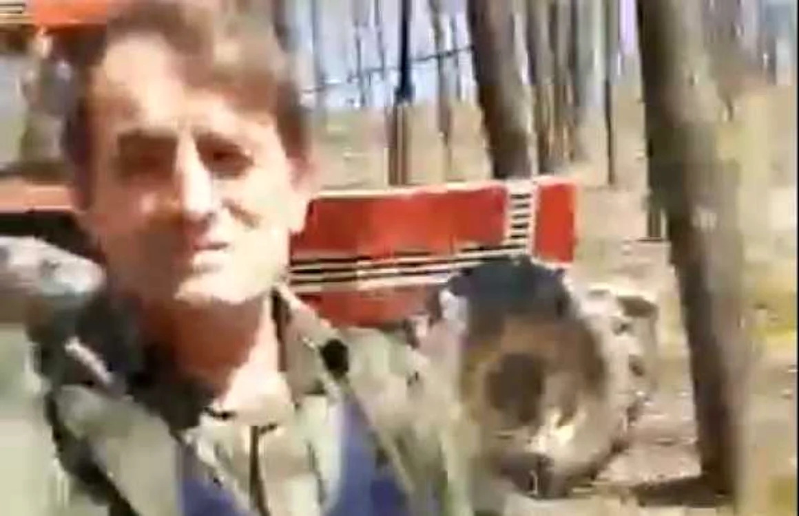 Pădurarul a fost surprins în pădure în timp ce lemnele tăiate erau încărcate într-o remorcă