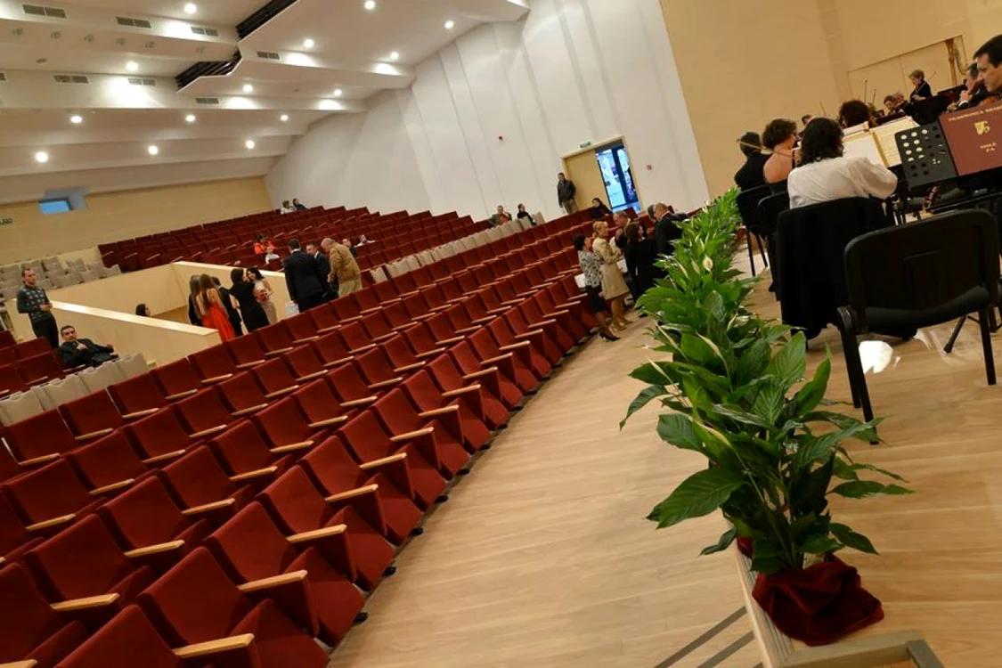 Sala Patria va fi gazda expoziţiei. FOTOArhivă.