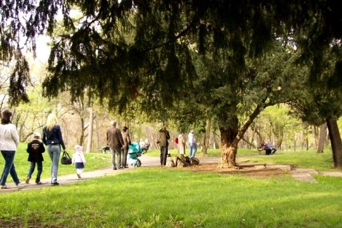 
    Vremea permite plimbările în parc  