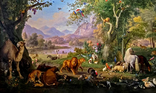 cele mai longevive animale jpg