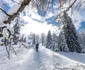 Retezatul Mic Foto Marius Turc 3 jpg